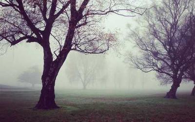 安防视频监控解决方案